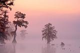 Foggy Lake Martin Dawn_26512-14